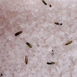 Relax Himalayan Bath Salt Blend 500g - Lavender