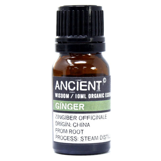 Ginger Organic Essential Oil 10ml by Ancient Wisdom