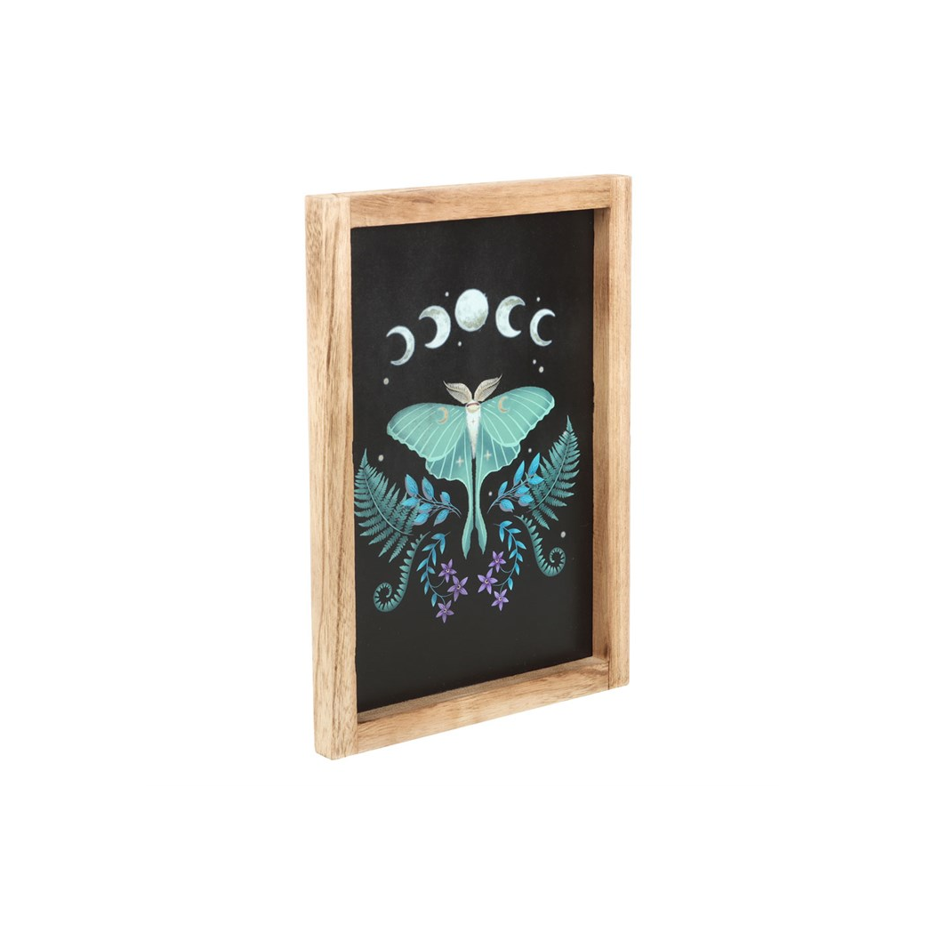 Luna Moth Framed Wall Art