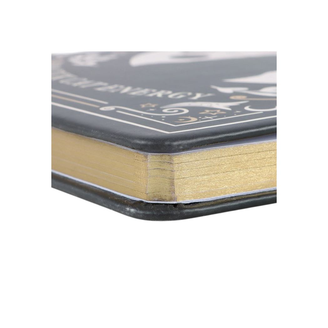 Close-up of hardcover Black Cat Book of Spells notebook spine and pages.