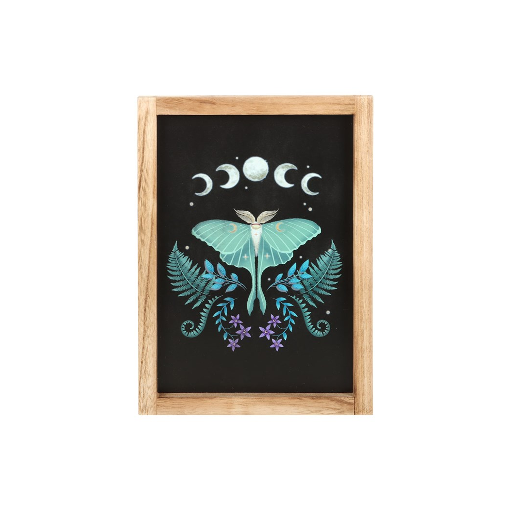 Luna Moth Framed Wall Art