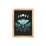 Luna Moth Wooden Framed Wall Art