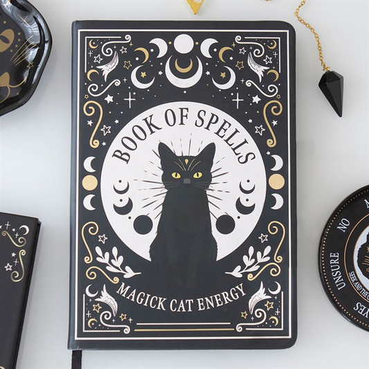 Black Cat Book of Spells A5 Notebook with matching pen.