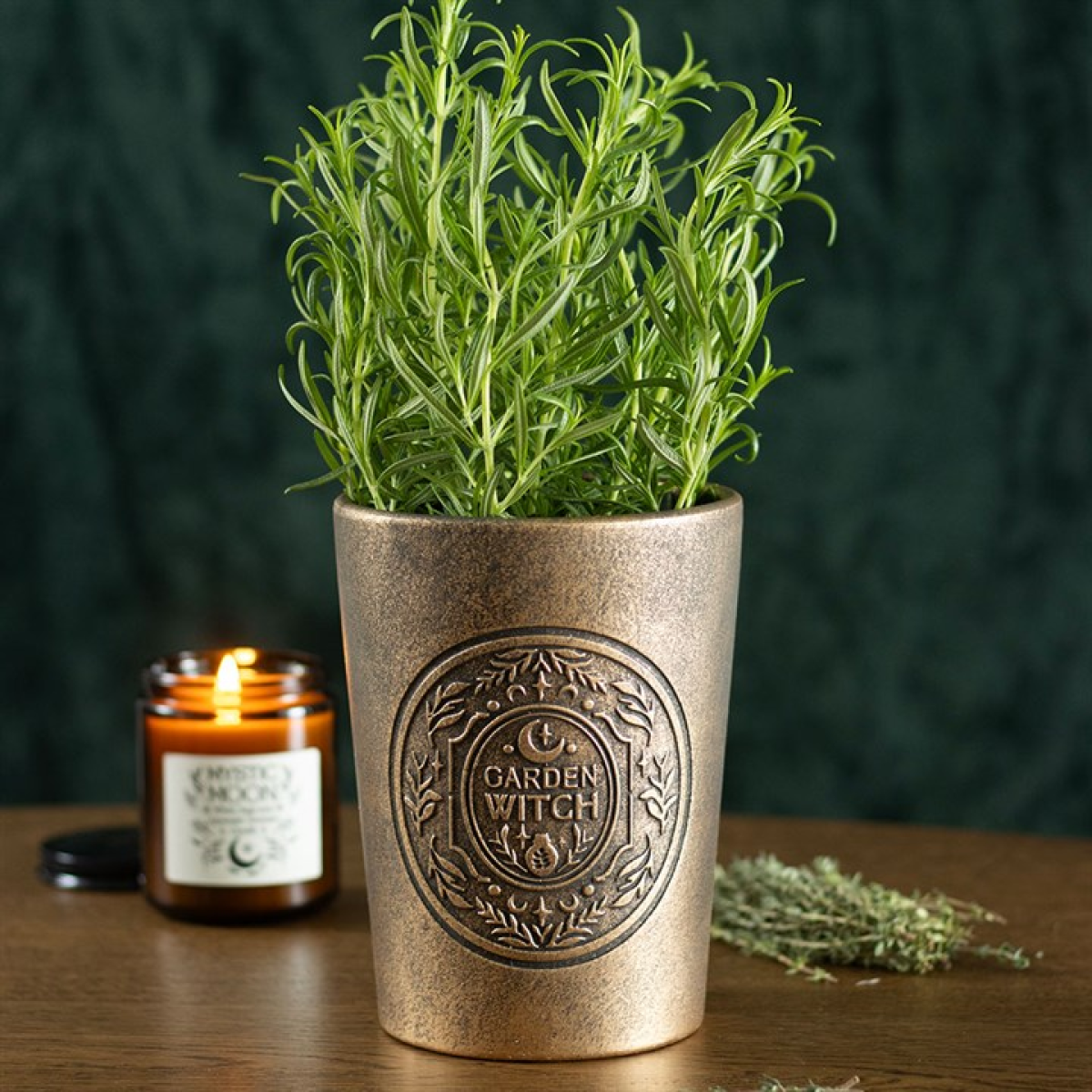 Garden Witch bronze terracotta plant pot with herb plant