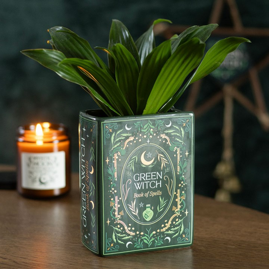 Green Witch book shaped vase with plant
