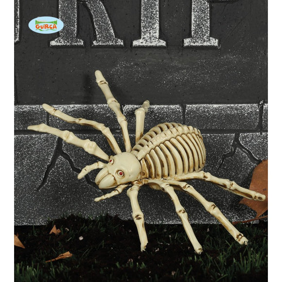 Spider Skeleton - 24cm