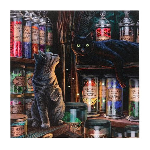 Magical Emporium Light Up Canvas Picture by Lisa Parker
