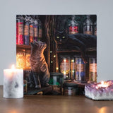 Magical Emporium Light Up Canvas Picture by Lisa Parker