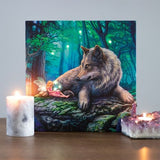 Fairy Stories Light Up Canvas Picture by Lisa Parker