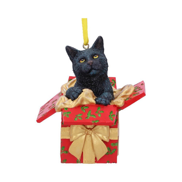 Christmas Present Cat Hanging Ornament by Lisa Parker