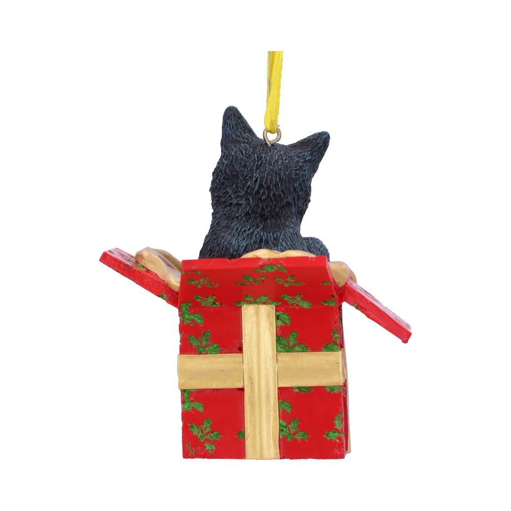Christmas Present Cat Hanging Ornament by Lisa Parker
