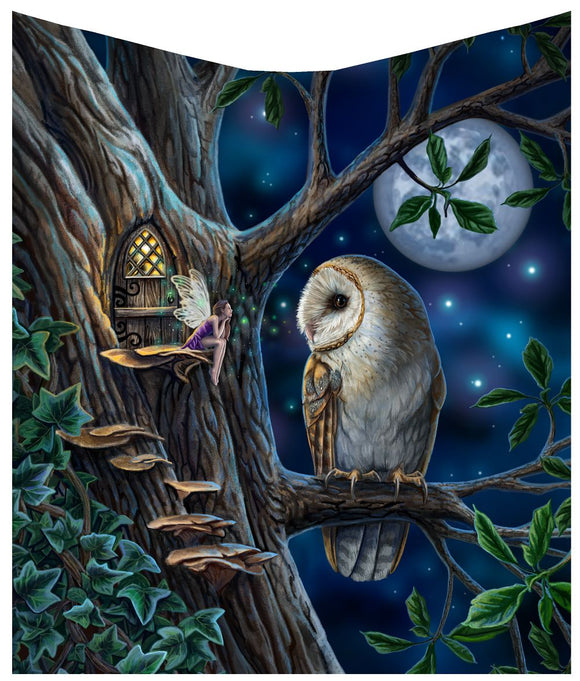 Fairy Tales Owl Blanket Throw by Lisa Parker