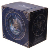 Porcelain Fortune Teller Cat Mug by Lisa Parker
