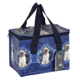 insulated lunch bag for adults