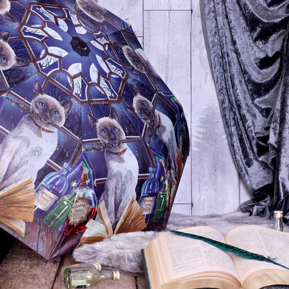 Hocus Pocus Witch's Cat Umbrella by Lisa Parker