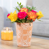 Honeycomb Bee Terracotta Plant Pot