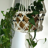 Macramé Beaded Plant Pot Holder (large)