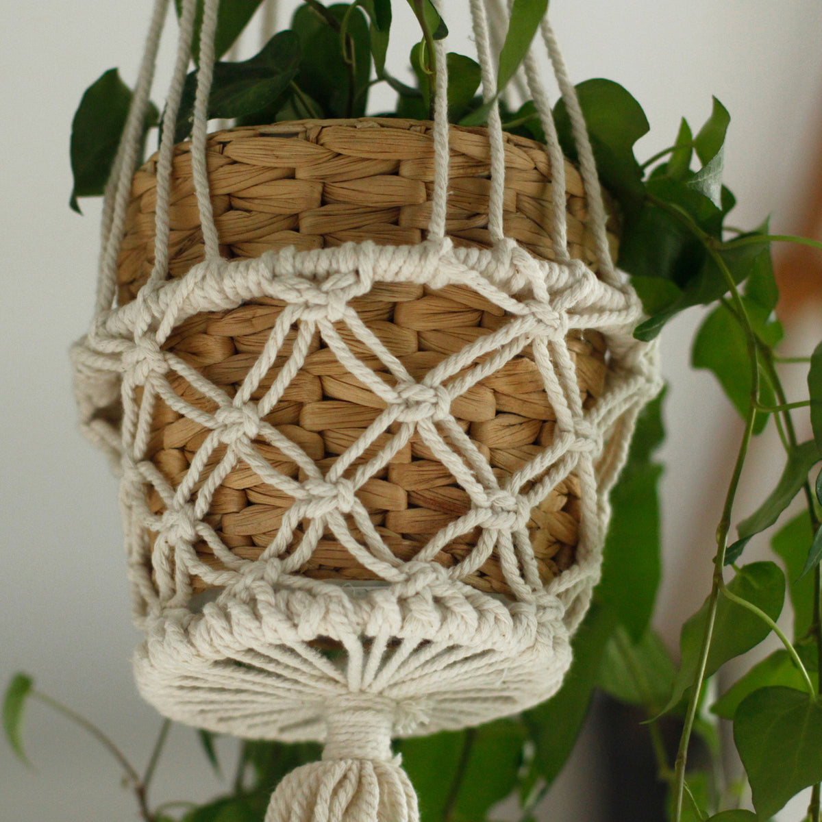 plant pot holders indoors