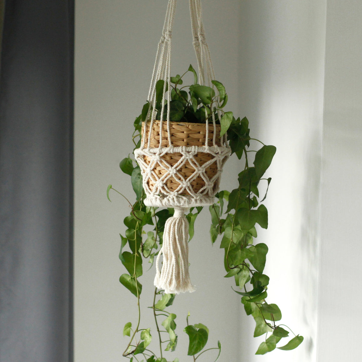 macrame plant hanger uk