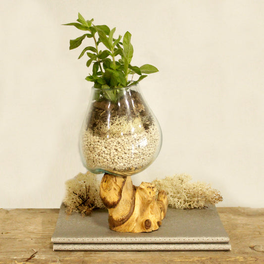 Molten Glass & Wood Bowl (medium)