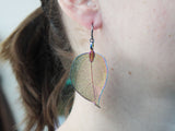 Multi-coloured Real Leaf Earrings