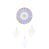 Natural Vegan Friendly Multi-coloured Dreamcatcher (Large)