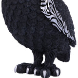 Owlocen Black Owl Figurine 30cm Large