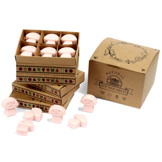 Ginger soy wax melts with 6 natural soy wax melts