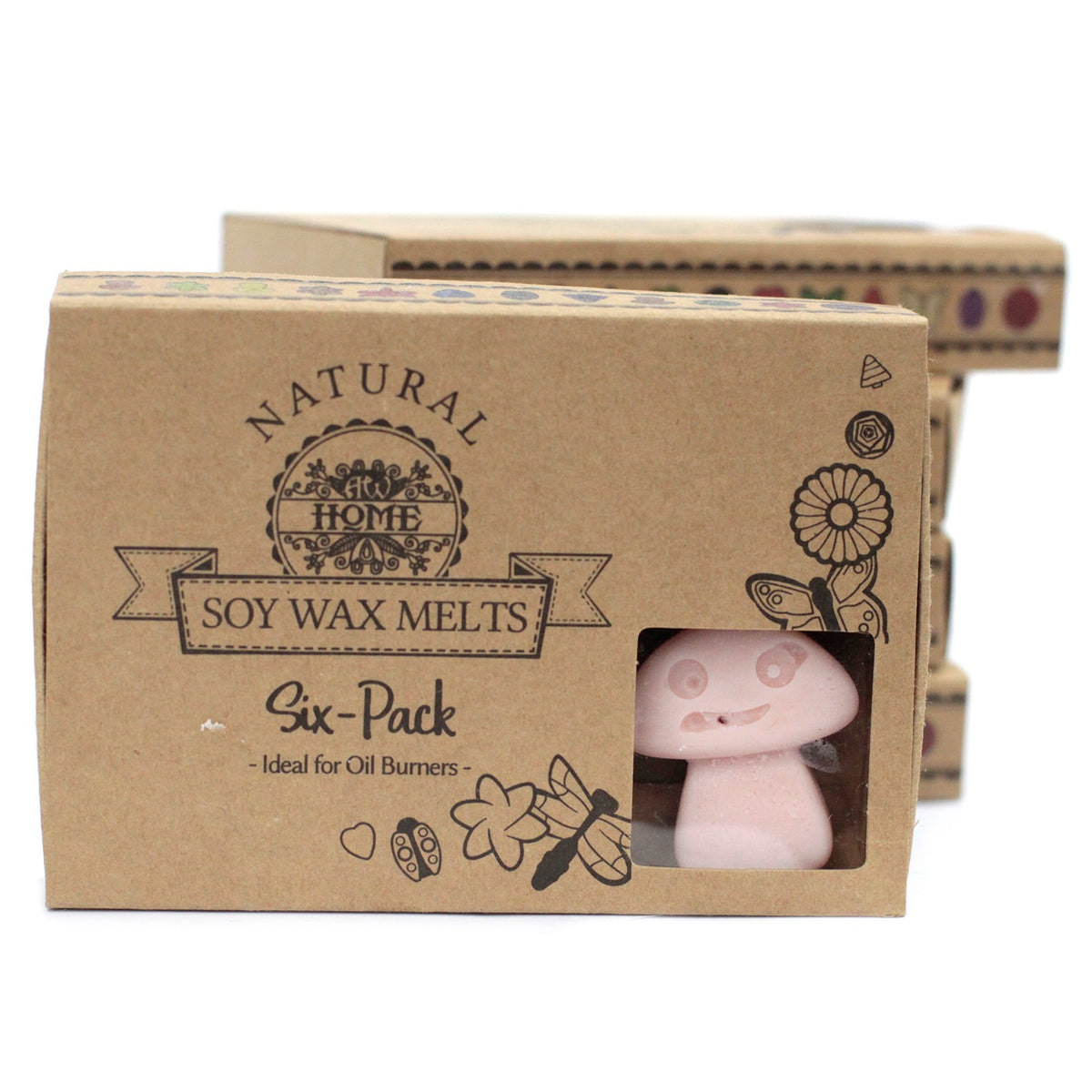Ginger soy wax melts natural soy wax fragrance in box of 6