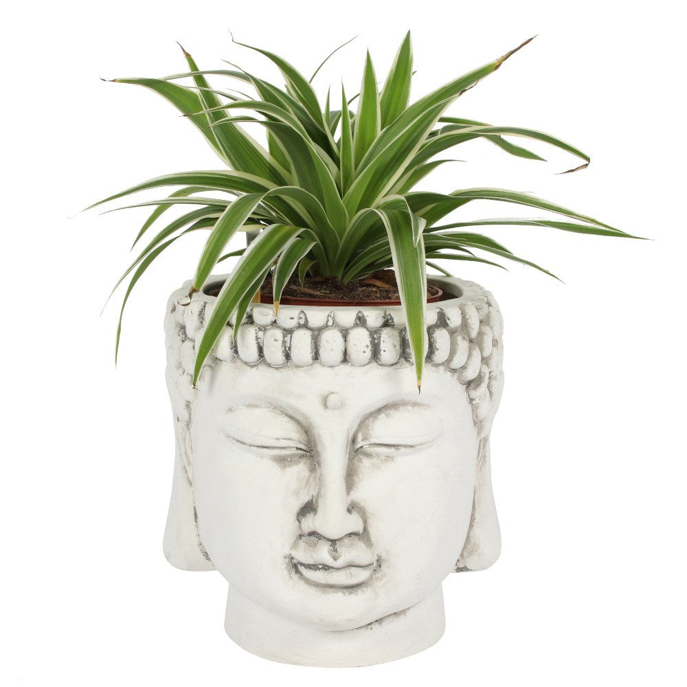 White Terracotta Buddha Plant Pot