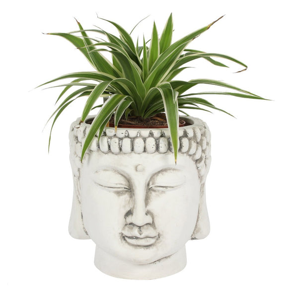 White Terracotta Buddha Plant Pot