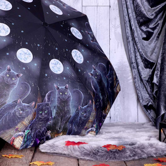 Witch's Familiars Black Cat Umbrella by Lisa Parker