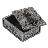 witch's black cat trinket box