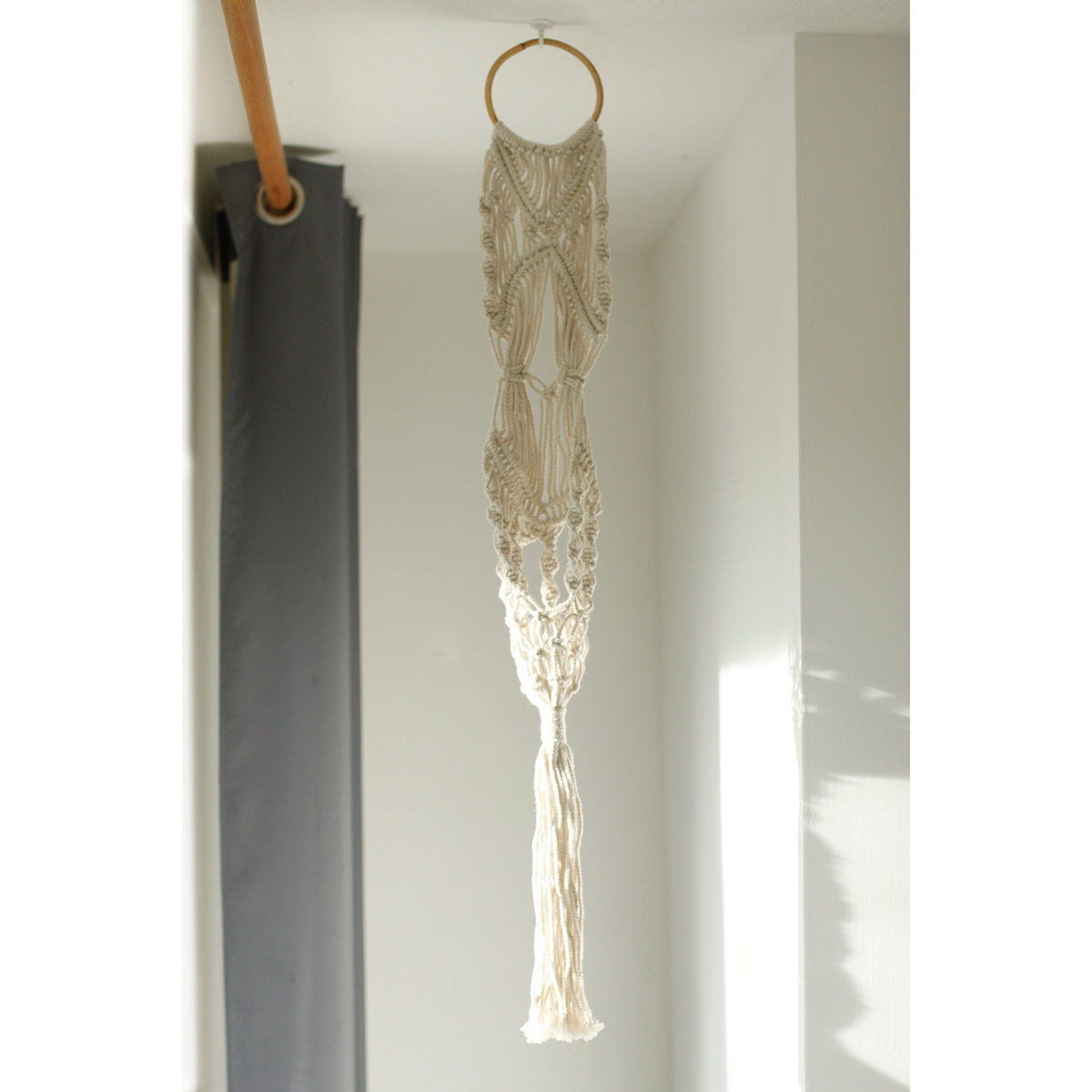 hanging plant pot