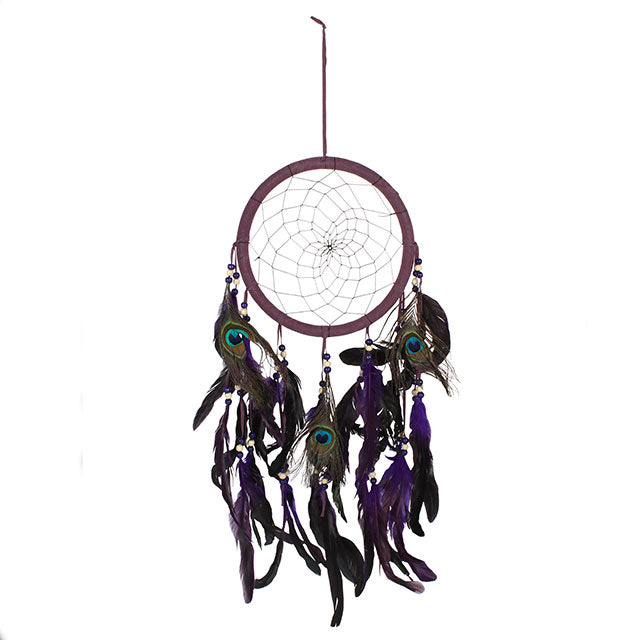 purple peacock feather dreamcatcher